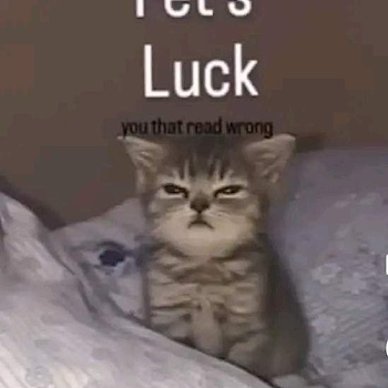 dankwolf793