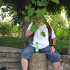 MeistersKatze