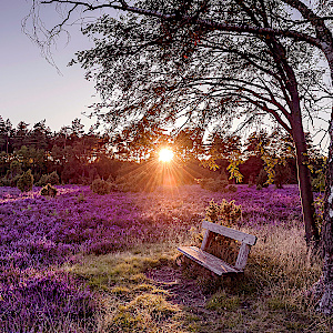 Community ... HK, WL, UE, LG