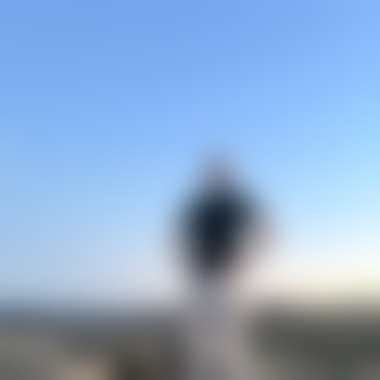 nettundsmart