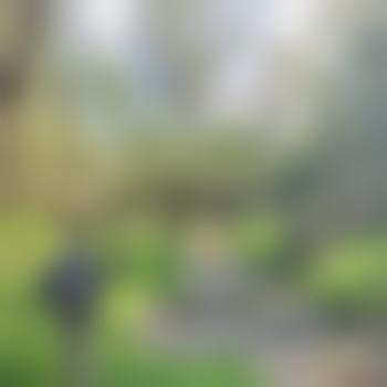 Outsider47