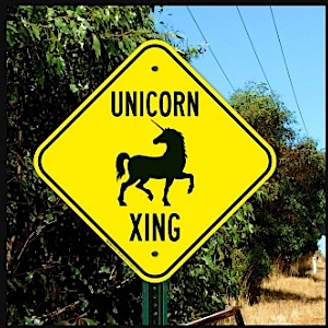 Manchester NH Unicorns After Dark