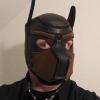 Shibari_Puppy