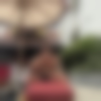 whynothavefun1