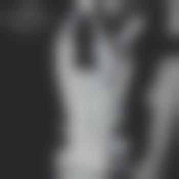 your-shygirl