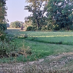 Feldweg zwischen Allstedt und Katharinenrieth