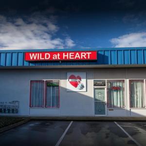 Wild At Heart