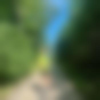 Nochimmeraufdersuche