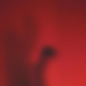David818