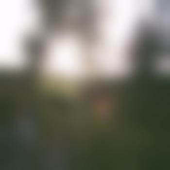 Lu_13